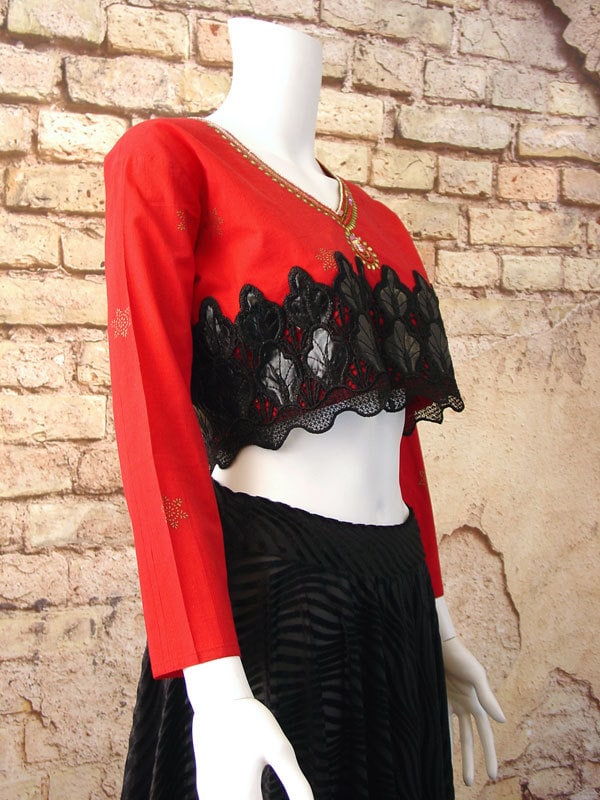 Embroidered Ethnic Crop Top, Indian Belly Shirt, OOAK Boho, Size Small to Medium